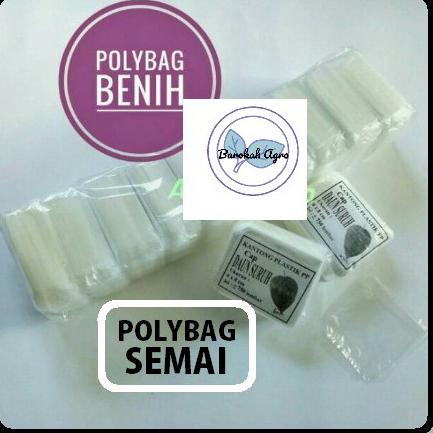 ↿ Polybag kecil untuk pembibitan,polybag semai ㅬ