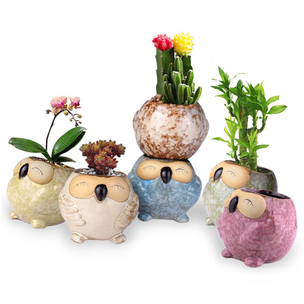 62 Koleksi Gambar Anime Burung Hantu Terbaru