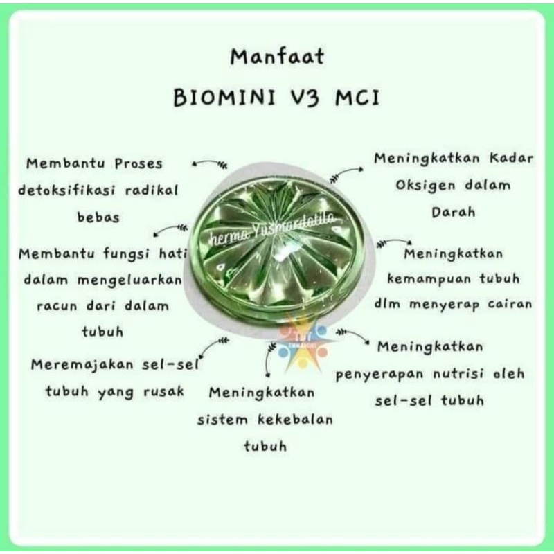 Bioglass Mini (Biomini) MCI