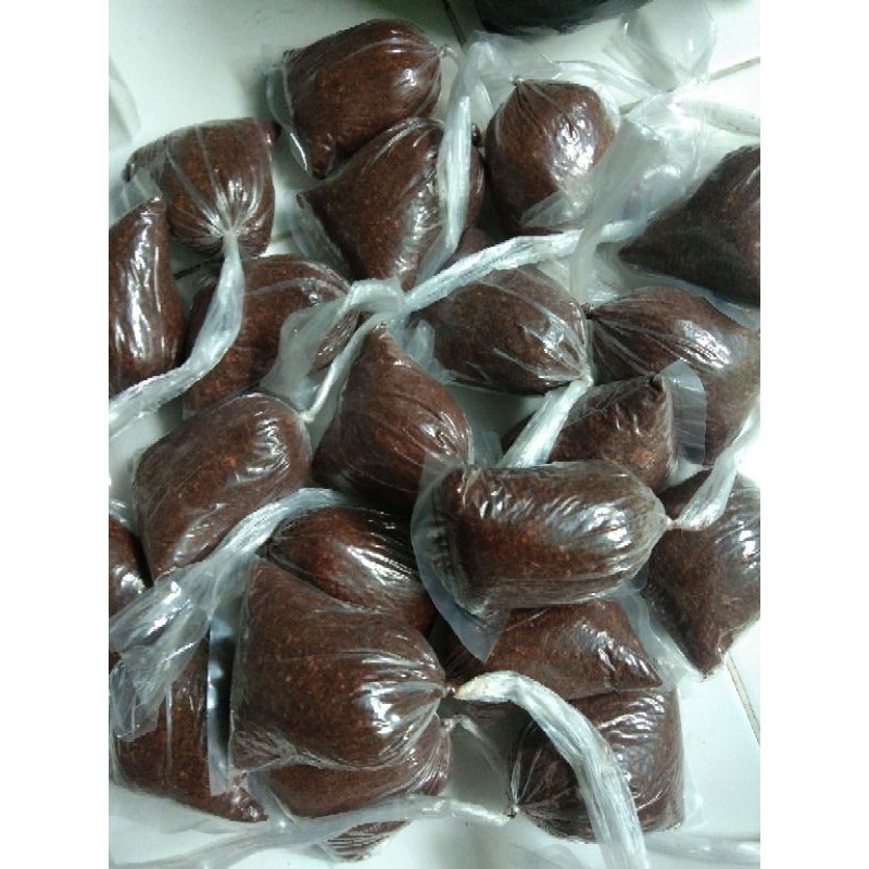 Media tanam cangkok buah tin / media tanam cangkok pohon tin