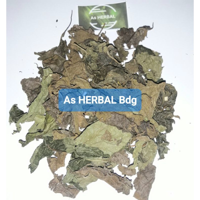 

Daun kirinyuh kopasanda kering MURNI daun tanpa batang-az