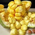 

buah cempedak / cimpedak 1 buah super