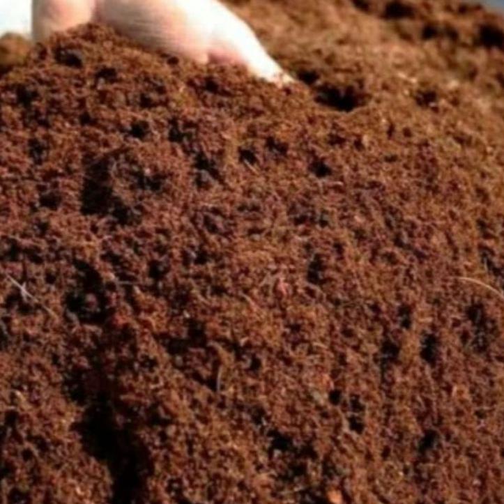 

Clearance Sale ARANG MERAH