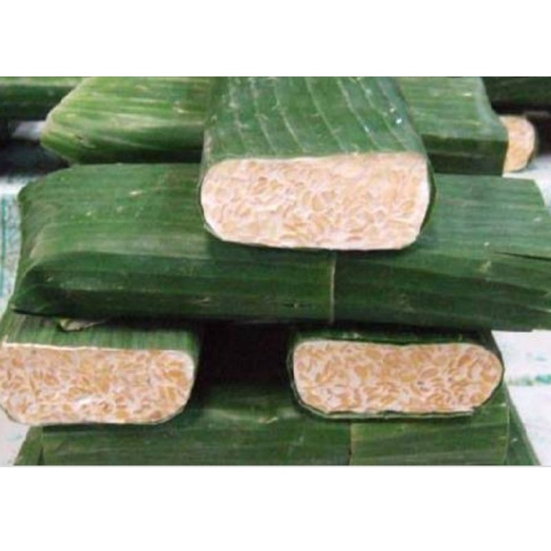

tempe daun fres