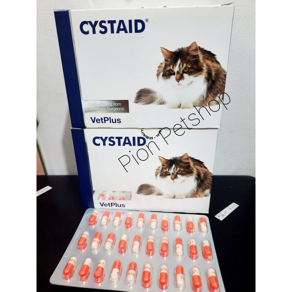 CYSTAID harga Per kapsul ( Obat Untuk Masalah Saluran Kencing Pada Kucing)