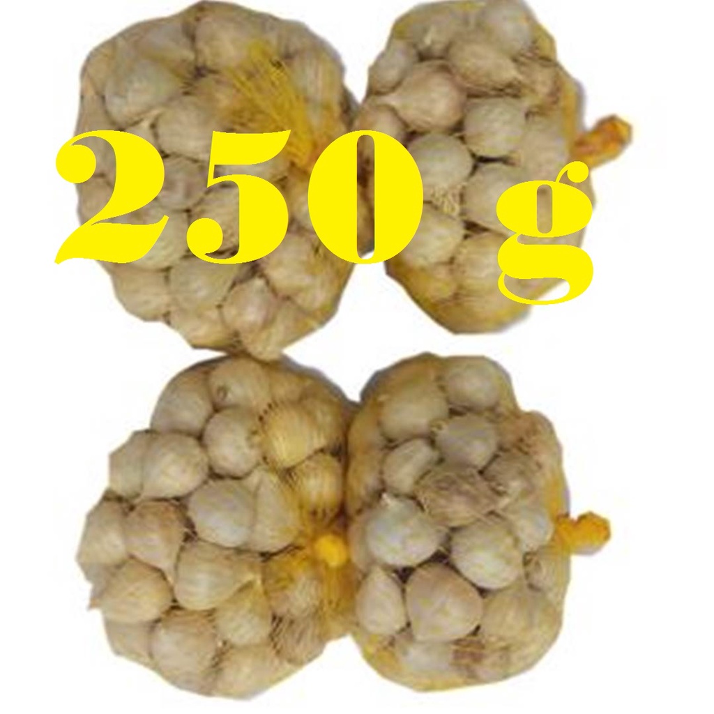 

250 g Bawang Tunggal