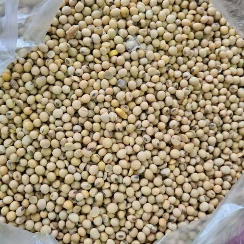 

Kacang Kedelai Import / Kacang Kedelai Organik Kacang Soya 250 GRAM