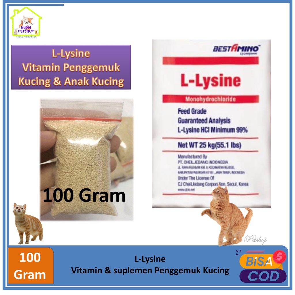 Vitamin Kucing Penggemuk Penambah nafsu Makan Kucing Anjing Sapi Kelinci LYSINE Asam Amino