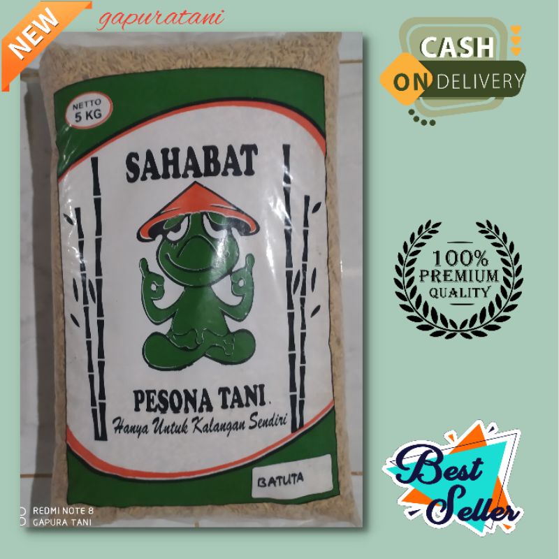 benih padi unggul aceh UB2 BATUTA 5 kg