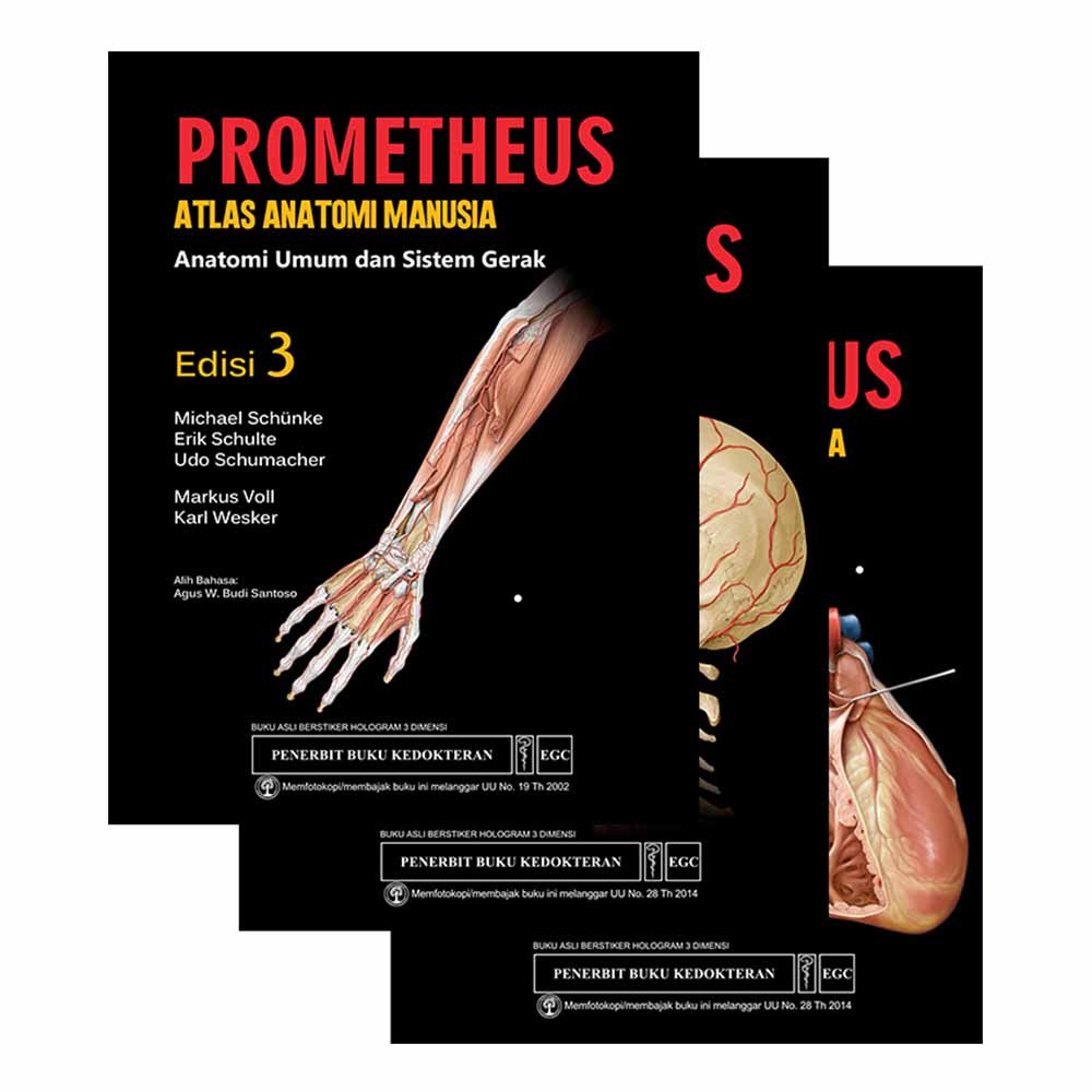 Buku Prometheus Atlas Anatomi Manusia Edisi 3 (3 Buku) - Michael Schunke,