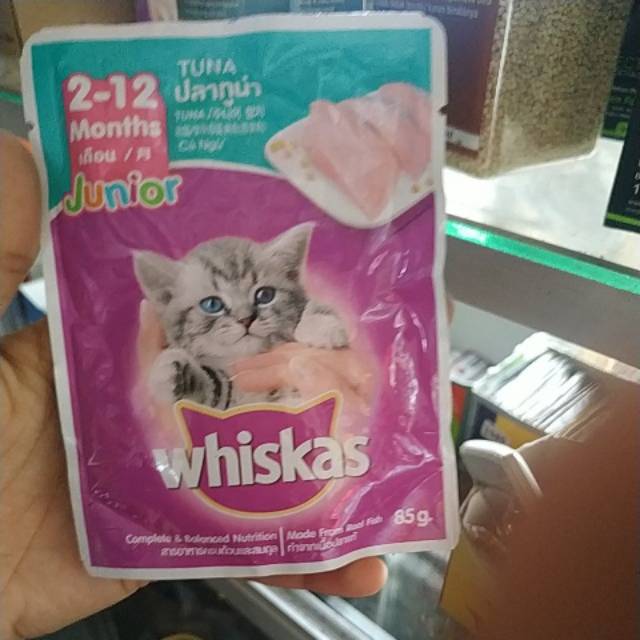 Whiskas junior 2-12 bulan