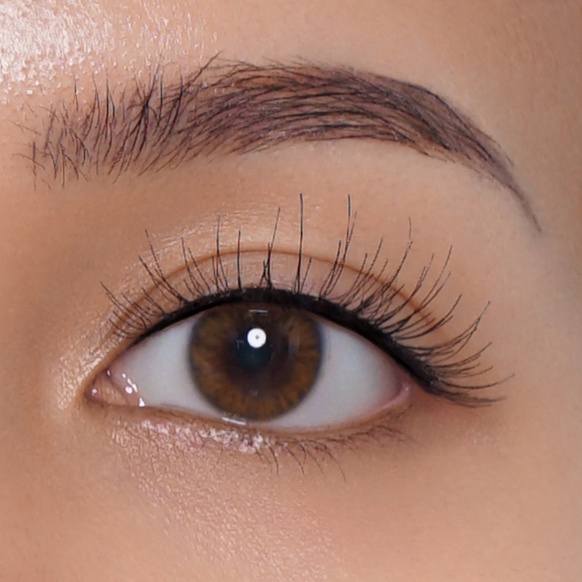 1857 L Famous eyelashes F1857L (upper eyelashes / bulu mata atas)