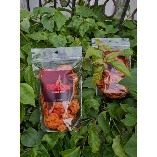 

Keripik Cipak Koceak Pedas Jiwa