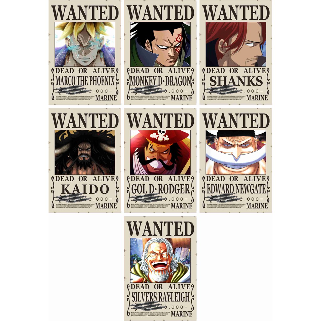 Poster Bounty One Piece Unknown