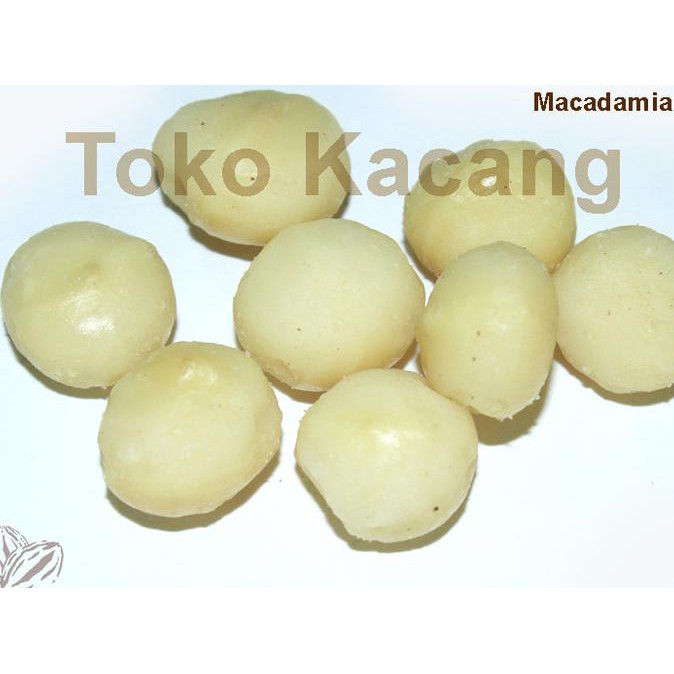 

Kacang Macadamia 100g