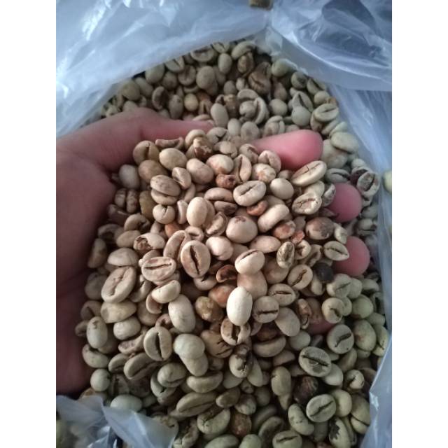 

Kopi putih /kopi ungkul