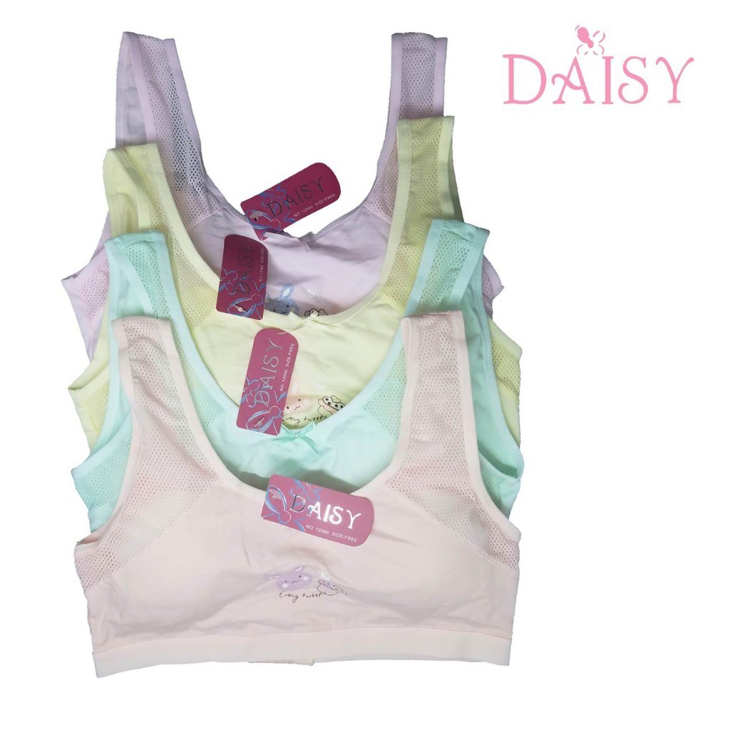Miniset / Bra Anak Perempuan / Remaja Busa Kait Bunny Cake Daisy