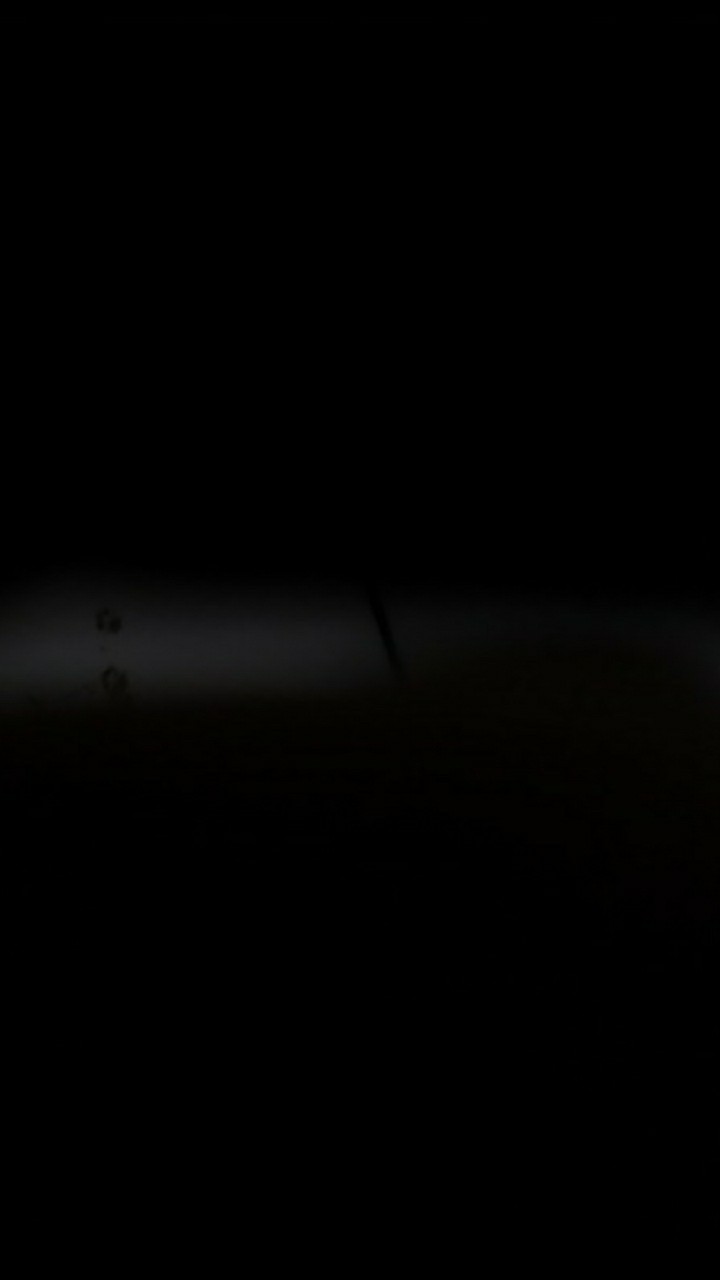 Insektisida Biologi Turex Wp 100 Gram Pembasmi Hama Ulat Tanaman