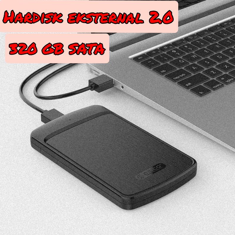 HARDISK EKSTERNAL 320 GB SATA