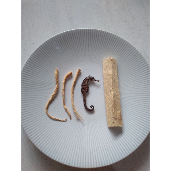 Akar Pasak Bumi Asli Kalimantan + Akar ginseng Kuda 1pcs