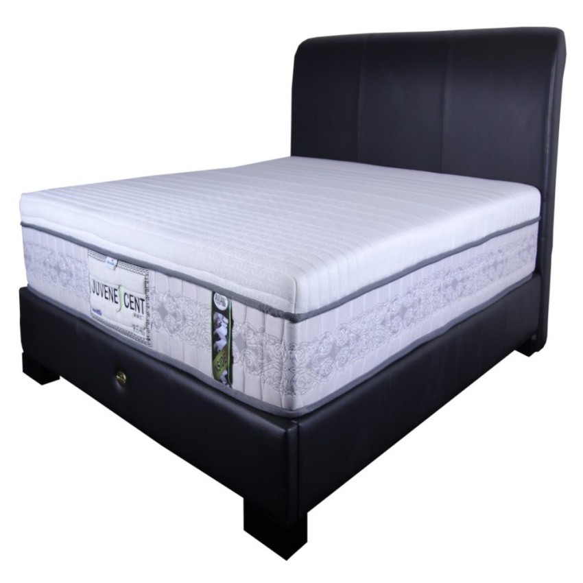 Dunlopillo Plasspring ORTHOPEDIC  Juvenescent Bed 160x200 Mattress Only