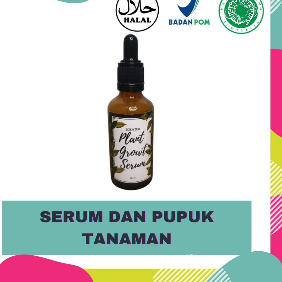 ✧ Serum Tanaman Hias Lebih Ampuh dari Albero Aglonema Alami Organik Pupuk Cair Plant Growth Booster