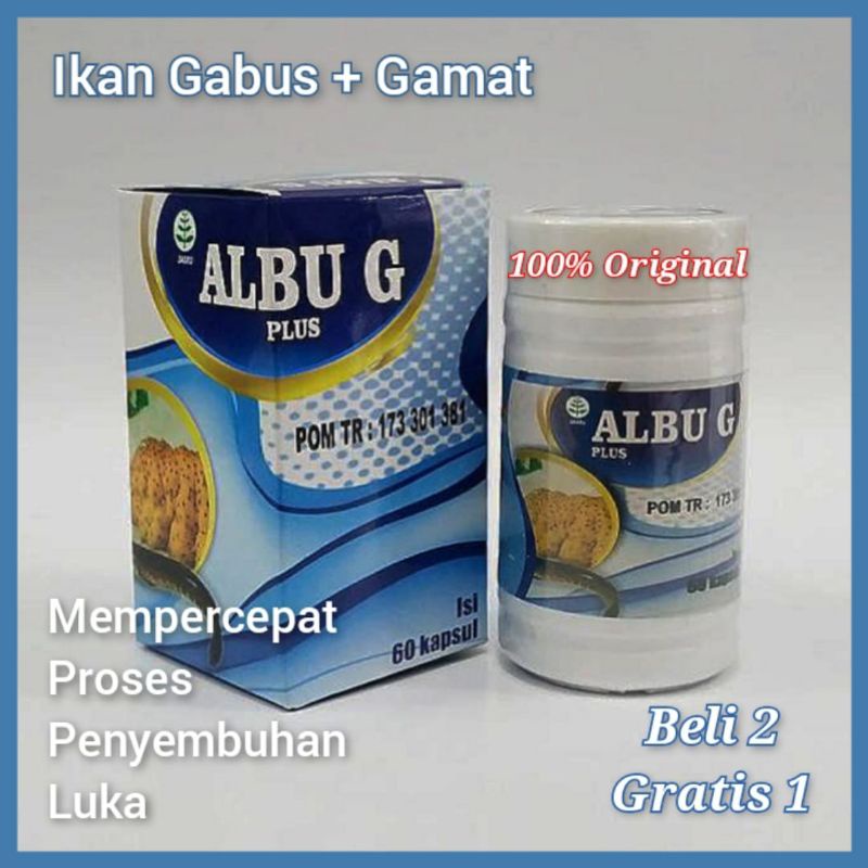 KAPSUL ALBUMIN / KAPSUL ALBU G ASLI ORIGINAL / KAPSUL IKAN GABUS TERBAIK / KAPSUL IKAN KUTUK ASLI