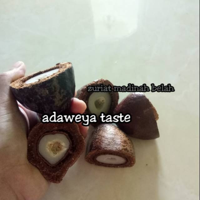 

Zuriat madinah belah
