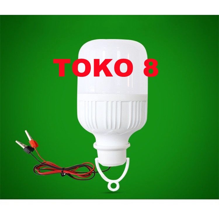 Lampu LED DC 6W/12W/18W/25W/30W Aki Solar Cell Panel Surya DC 12V Kabel Capit Bohlam Accu Emergency