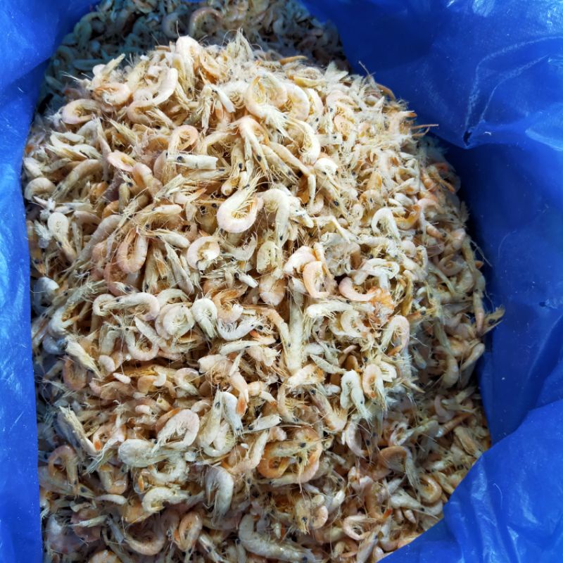 

Udang manis Medan