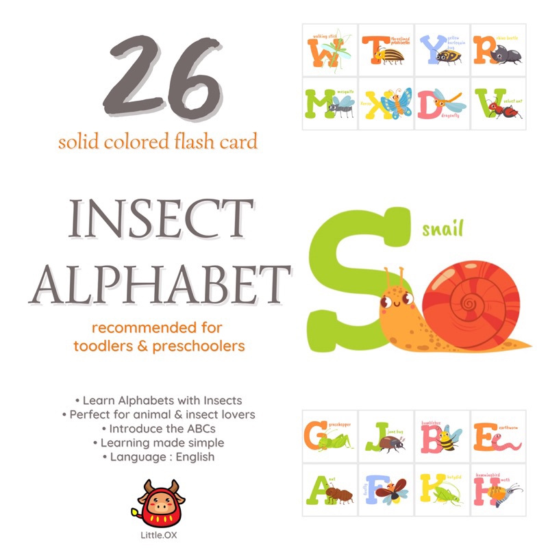 Flash card bayi balita animal insect alphabet hewan serangga alfabet ABC bahasa inggris