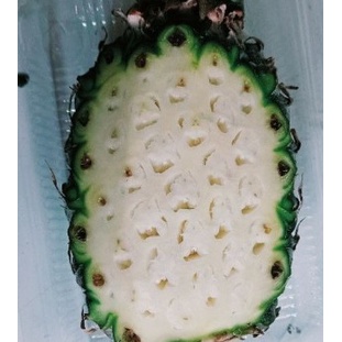 

TERLARIS NANAS MUDA || BUAH PELANCAR HAID || buah besar KODEDST0022