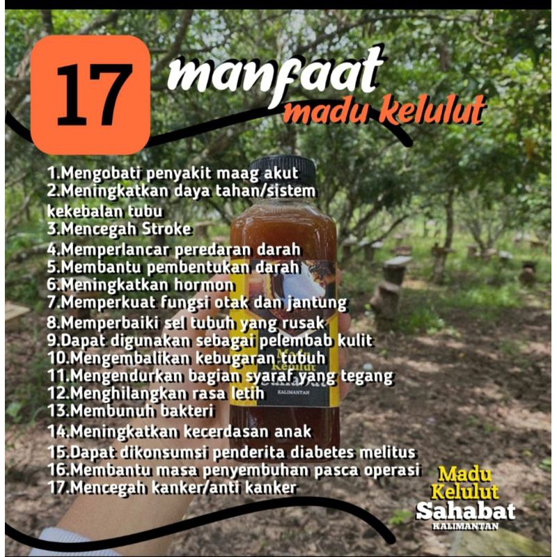 

Madu trigona/klanceng 500 ml asli kalimantan 1000% tanpa proses dan campuran