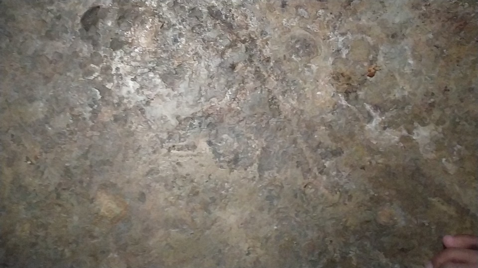 Rak Kulkas Tempat Penyimpanan Makanan