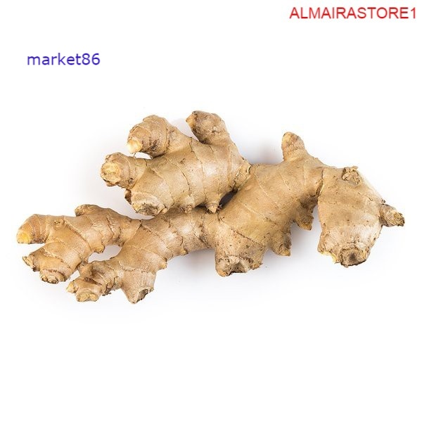 

Sayuran Segar Sayur FRESH Jahe 100 Gram -WFB .