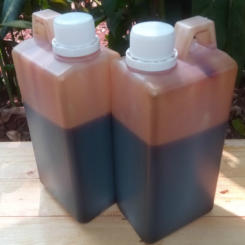 

Madu Hitam Pahit Gamat Propolis 1kg