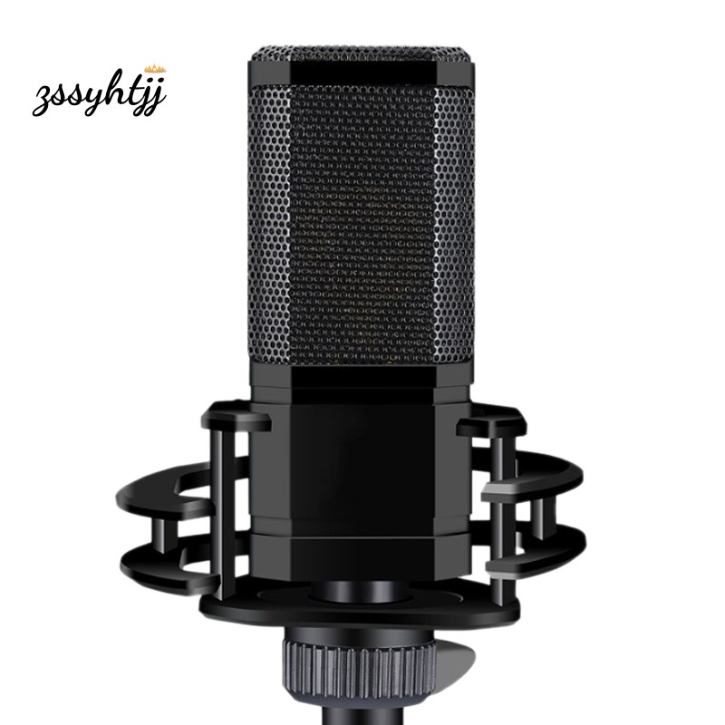 noise cancelling microphone for recording
