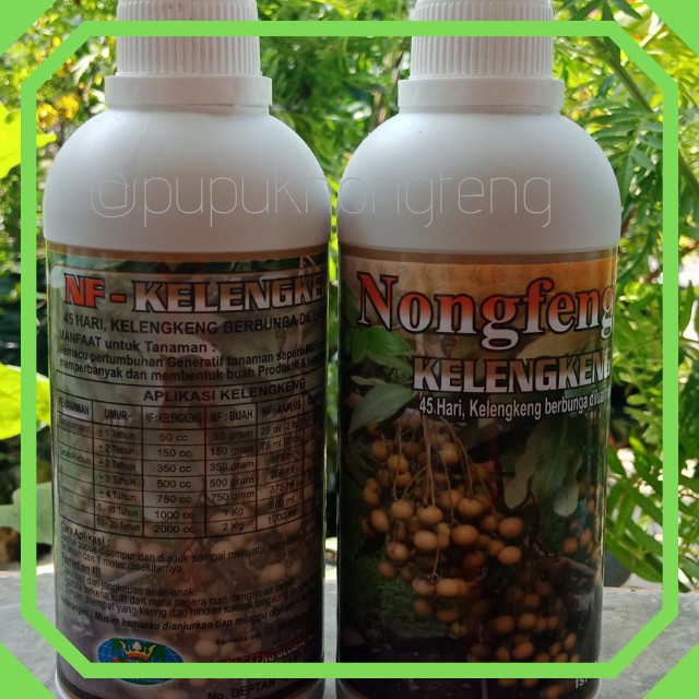 Pupuk Nongfeng Klengkeng - Hormon Buah Tanaman Klengkeng