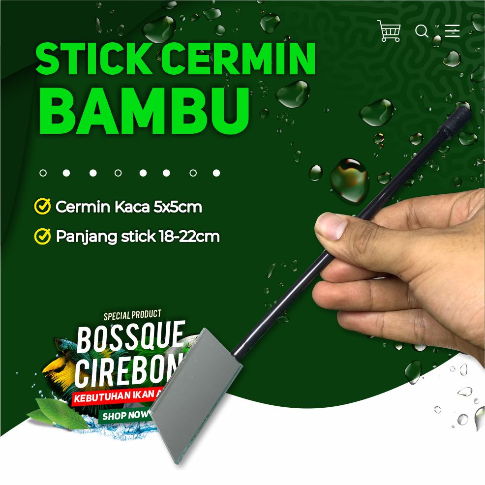 Stick Kaca Cermin Mental Ikan Cupang Channa Latihan Mental Flare Stick Cupang Ngedok