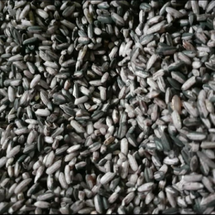 

KETAN-BERAS- BERAS KETAN JMHITAM SOSOH MENTAH KERING 500 GRAM -BERAS-KETAN.