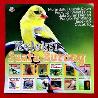 Image of thu nhỏ KASET MP3 AUDIO SUARA BURUNG MURAI BATU CUCAK ROWO BEO CUCAK IJO PERKUTUT #0