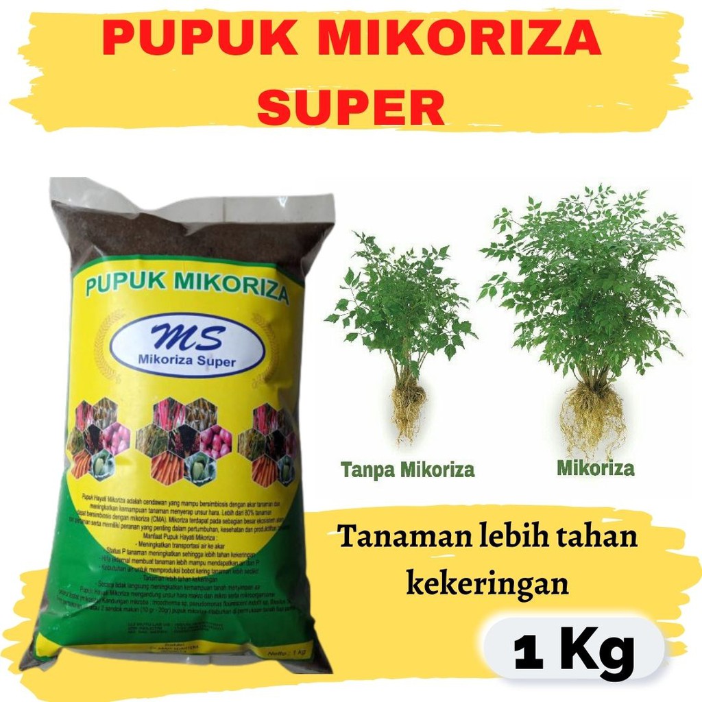 Jual Pupuk Hayati Mikoriza Pupuk Mikoriza Perangsang Akar Tanaman