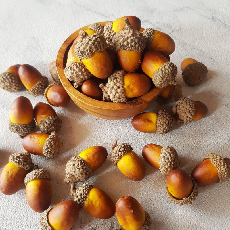 Biji Acorn Untuk Dekorasi Poperty Foto Rustic Dried Flower Pinus Rotan Mahar Craft Kerajinan Shopee Indonesia