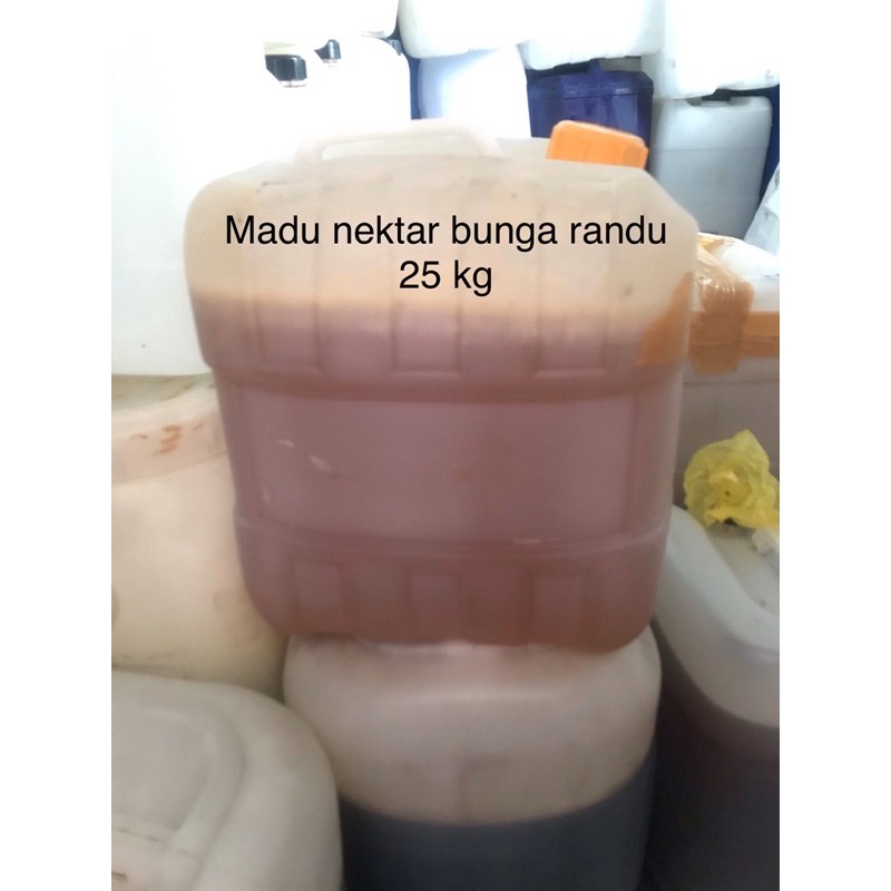 

madu asli dengan nektar bunga randu berat 25 kg madu