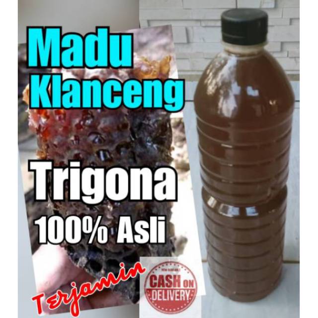 

MADU MURNI MADU KLANCENG 1 LITER