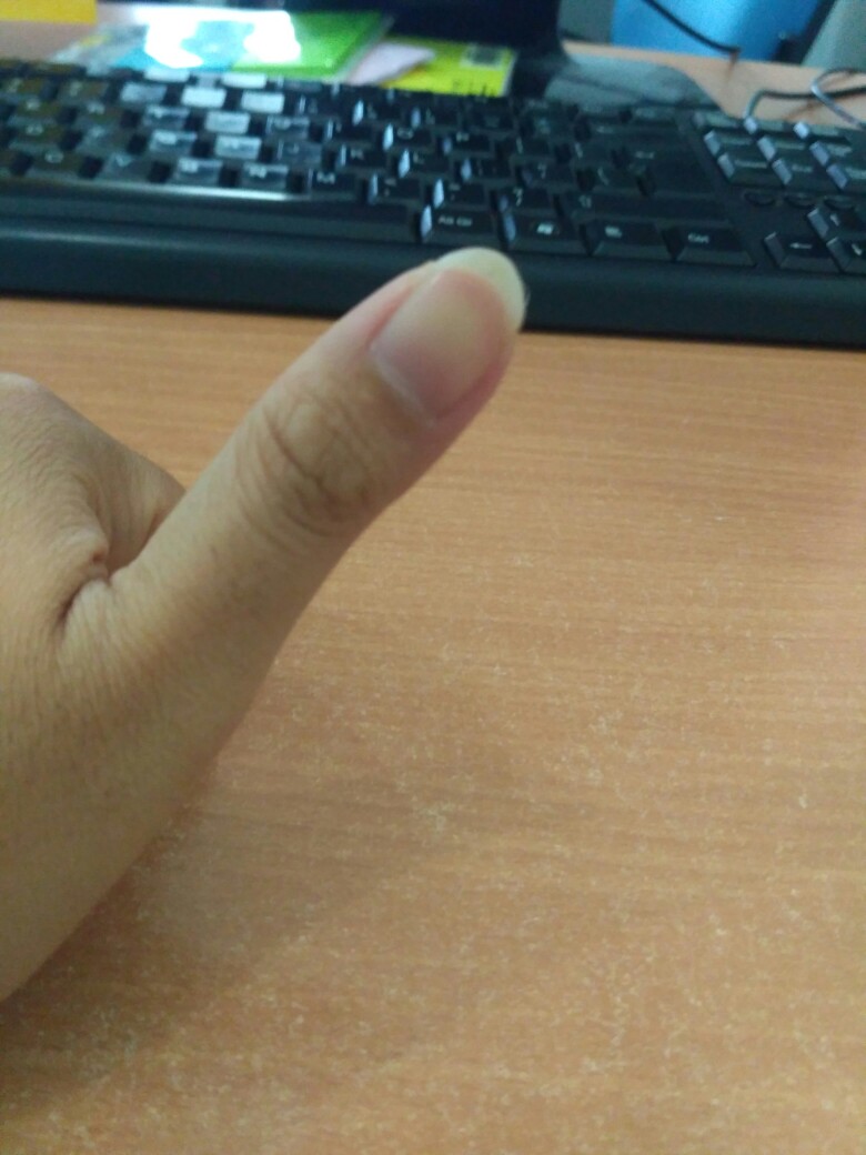 Kotak Tisu/ Wadah Tisu/ Tempat Tisu Plastik Golden Hen Tts-621