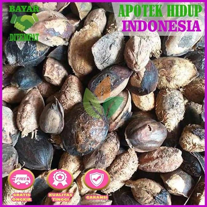 

(BISA COD) JUAL Buah Ketapang Kering 5kg murah