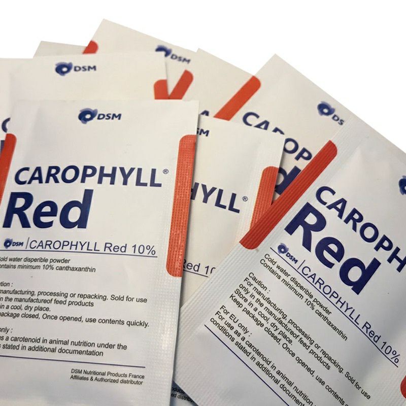 Carophyll France 100 % original Varian colour red pink yellow blue spiruganik caropil carofil carophyll spirulina