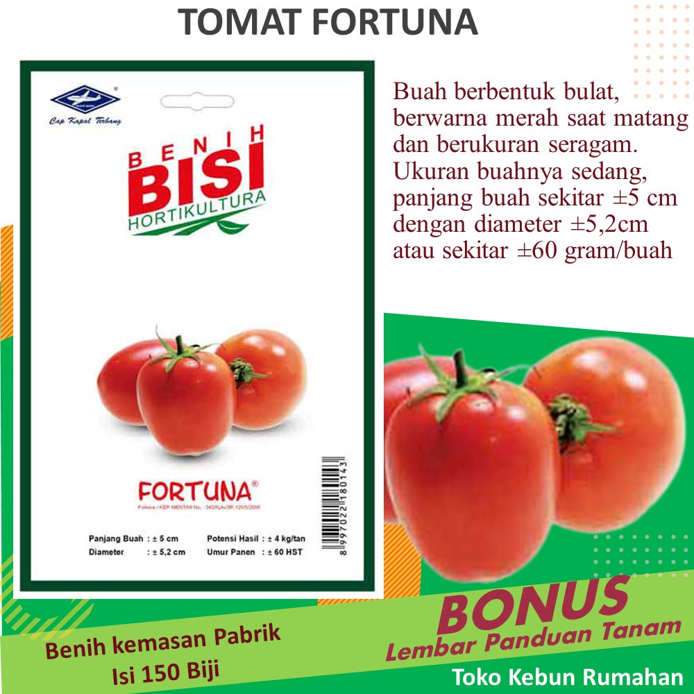 Bibit Tanaman Buah Benih Tomat Fortuna Bisi Isi150 Biji