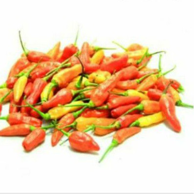 

Cabe Rawit Super 500 gram 45000